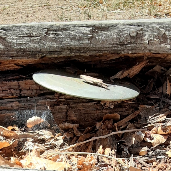 Meet your Posher, Sam. Hot wheels, collectibles, artwork, clothing and more. - Picture 10 of 12